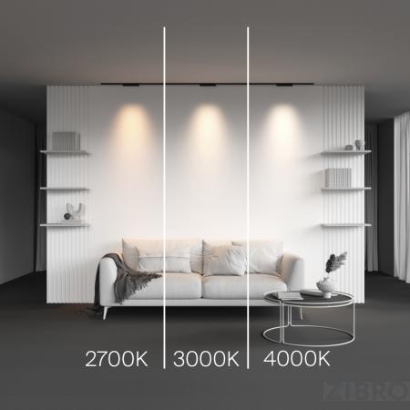 Трековый светильник Technical TR193-1-10W2.7K-M-B 