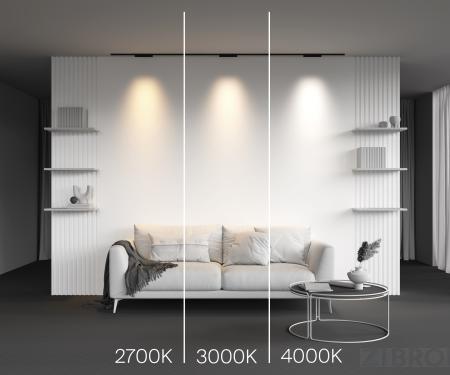 Трековый светильник Technical TR193-1-10W2.7K-M-B 