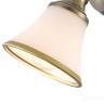 Спот Freya FR2272-WL-01-BS 