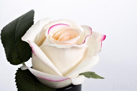 96СN-RB42 Диффузор Rose Bud Pink, спрей Rose Petal 5мл в упак. 