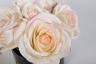 96СN-RB62 Диффузор Five Rose Pink, спрей Pink Peonies 10мл в уп. 
