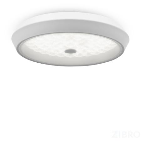 Потолочный светильник Freya FR10012CL-L24W 