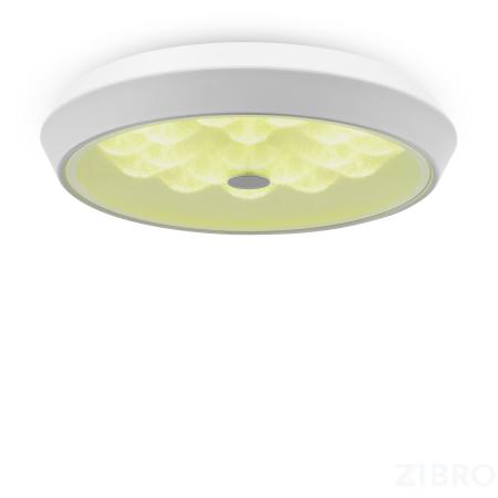 Потолочный светильник Freya FR10012CL-L24W 