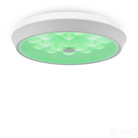 Потолочный светильник Freya FR10012CL-L24W 