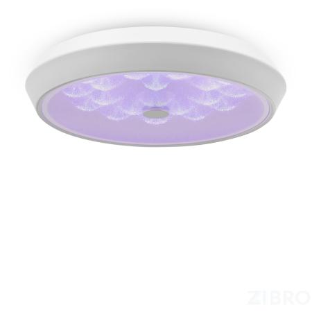 Потолочный светильник Freya FR10012CL-L24W 