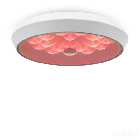 Потолочный светильник Freya FR10012CL-L24W 