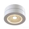 Потолочный светильник Technical C022CL-L12W 