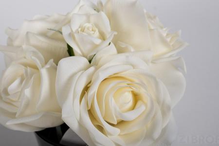 96CN-RB61 Диффузор Five Rose White, спрей White Gardenia10мл,уп. 