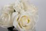 96CN-RB61 Диффузор Five Rose White, спрей White Gardenia10мл,уп. 