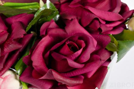 96CN-LV22 Диффузор Oval Red, спрей Pink Peonies 2x10 мл в упак. 