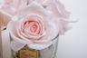 96CN-RB660 Диффузор Five Rose French Pink, спрей Winter in Chatou 10мл в упак. 