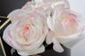 96CN-R60100 Диффузор Five Rose Ivory White, спрей Charente Rose 10мл,уп. 