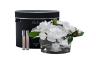 96CN-LV100 Диффузор Oval White, спрей Charente Rose 2x10мл  в уп. 