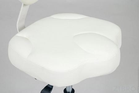 Стул мастера SD-6156F 