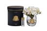 96CN-RG0005 Диффузор Magnolia white , спрей Winter in Chatou 2*10 ml в упак. 