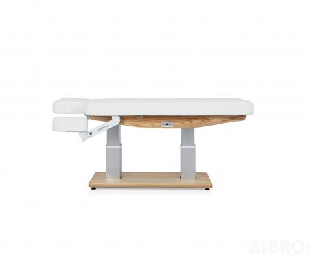 КУШЕТКА ЭЛЕКТРИЧЕСКАЯ МК170 TROCH SMART 